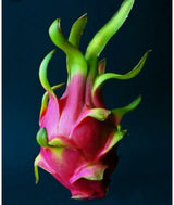Soy & Crystal Candle ~ Hibiscus & Dragonfruit